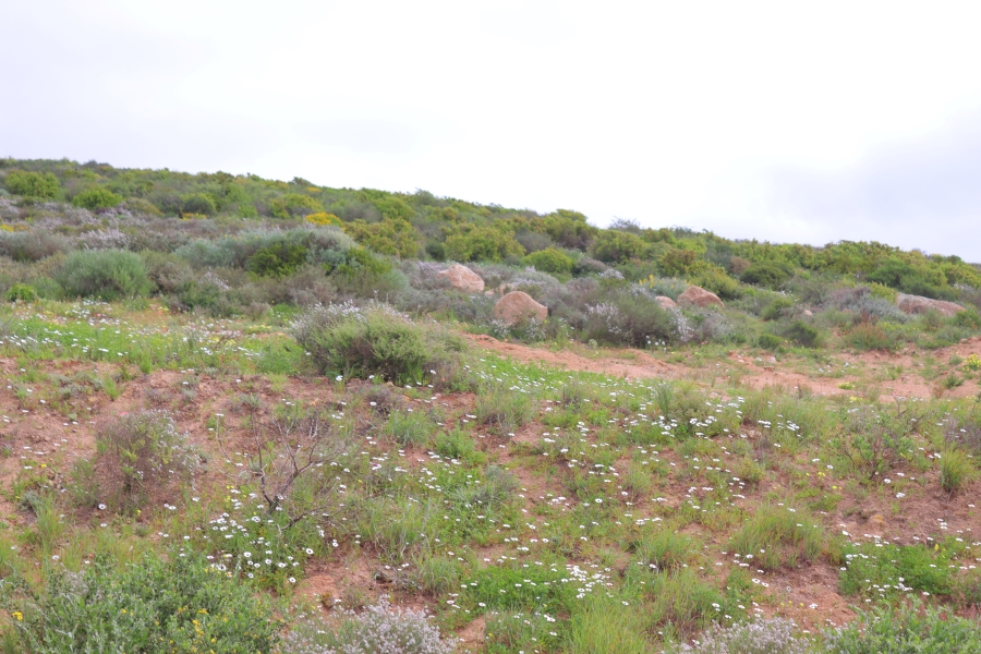 0 Bedroom Property for Sale in Britannica Heights Western Cape